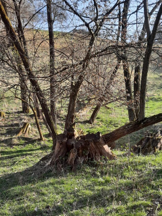 Holiday Home Neokrnjena Narava Sevnica 外观 照片