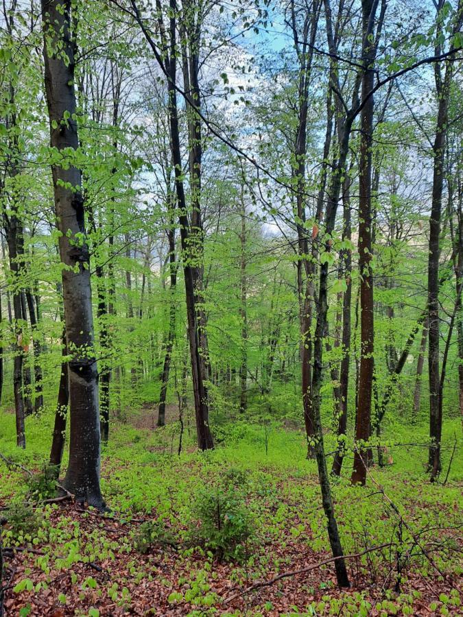 Holiday Home Neokrnjena Narava Sevnica 外观 照片