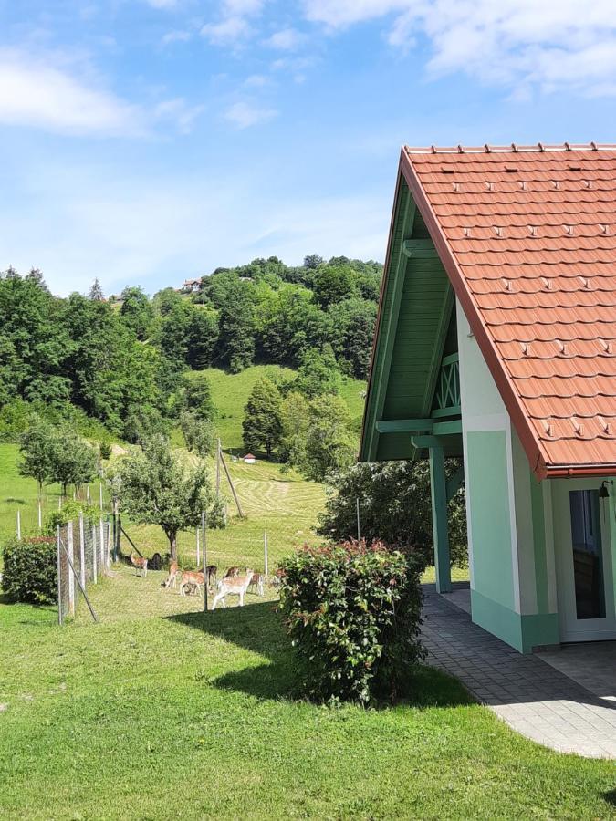 Holiday Home Neokrnjena Narava Sevnica 外观 照片