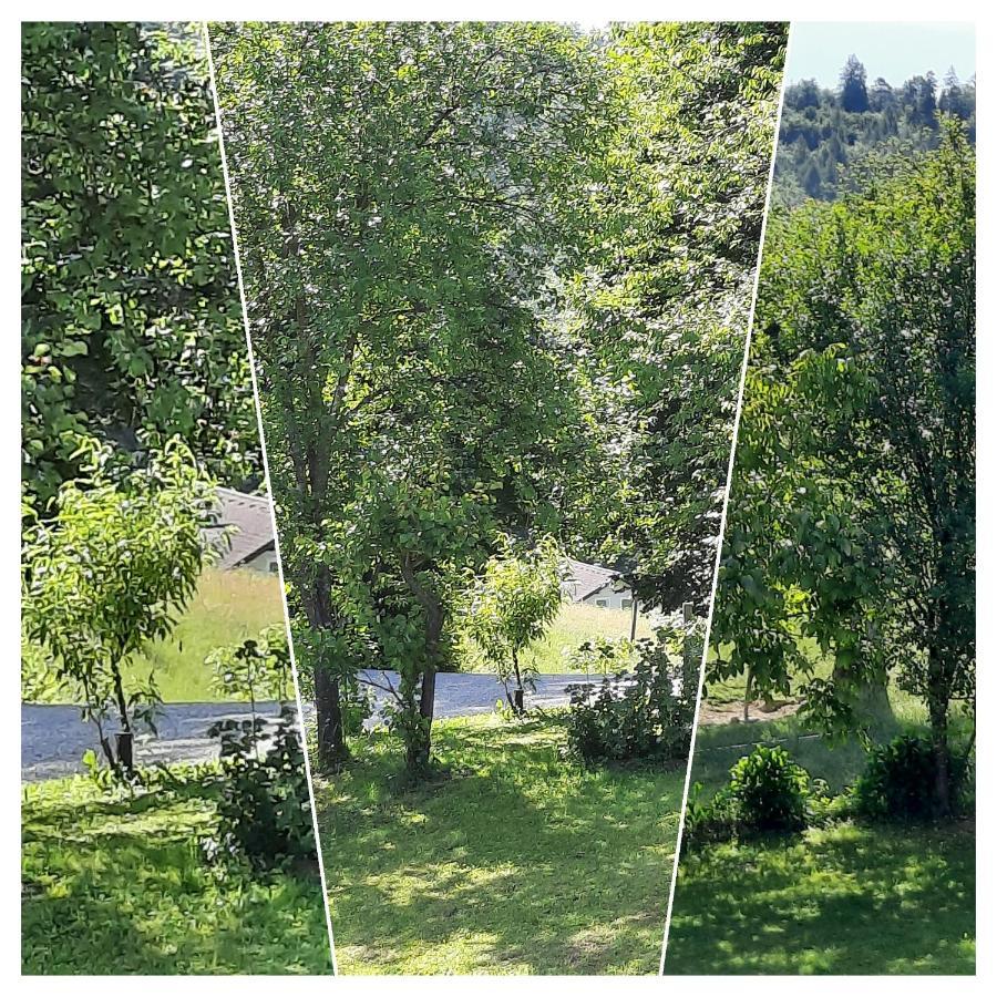 Holiday Home Neokrnjena Narava Sevnica 外观 照片