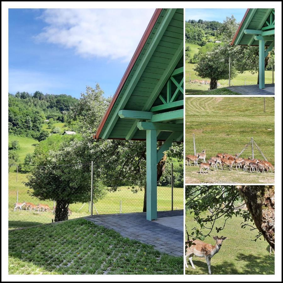 Holiday Home Neokrnjena Narava Sevnica 外观 照片