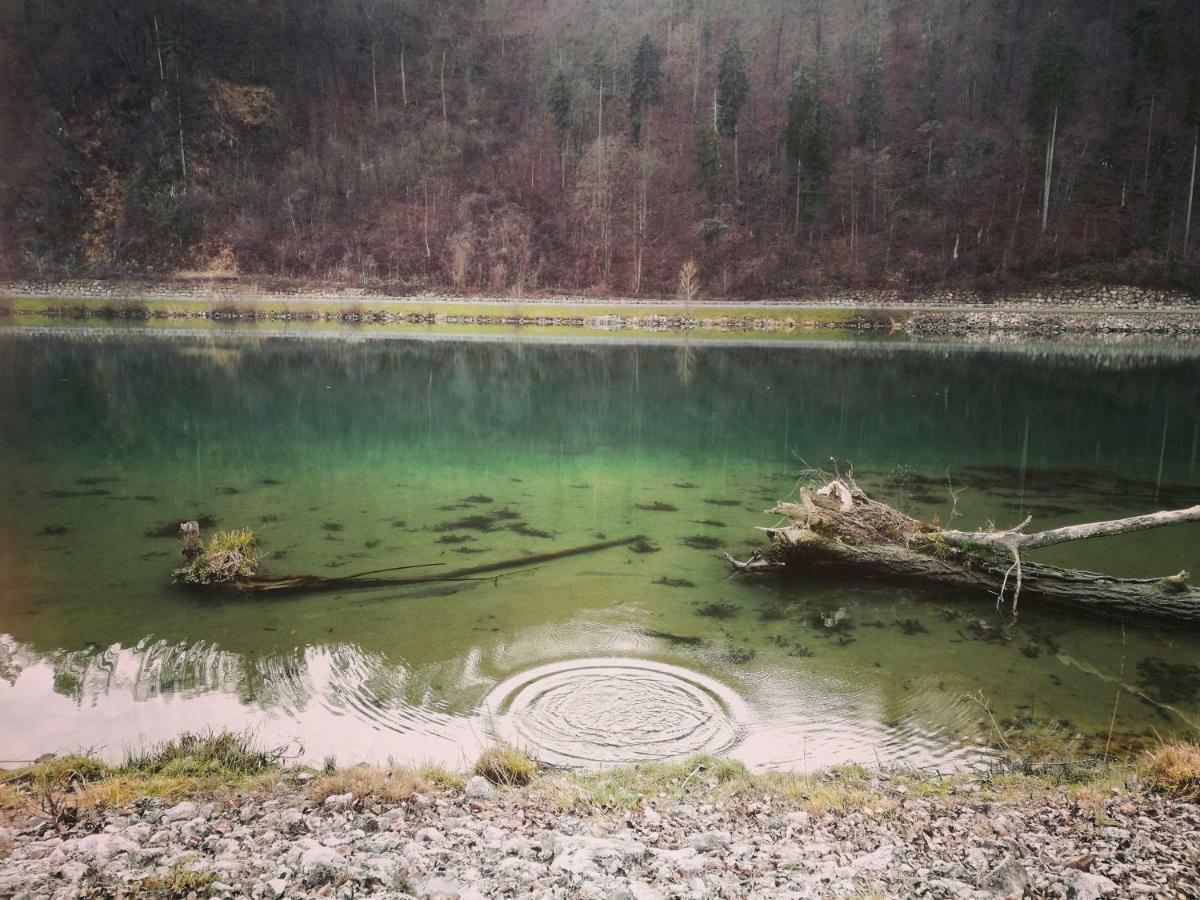 Holiday Home Neokrnjena Narava Sevnica 外观 照片