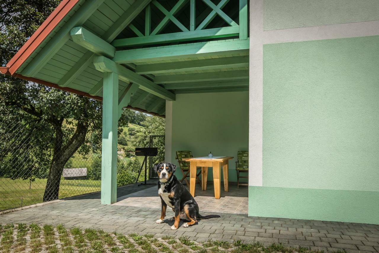 Holiday Home Neokrnjena Narava Sevnica 外观 照片