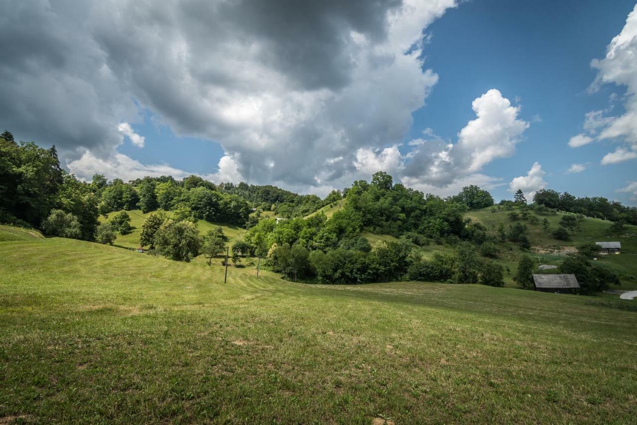 Holiday Home Neokrnjena Narava Sevnica 外观 照片