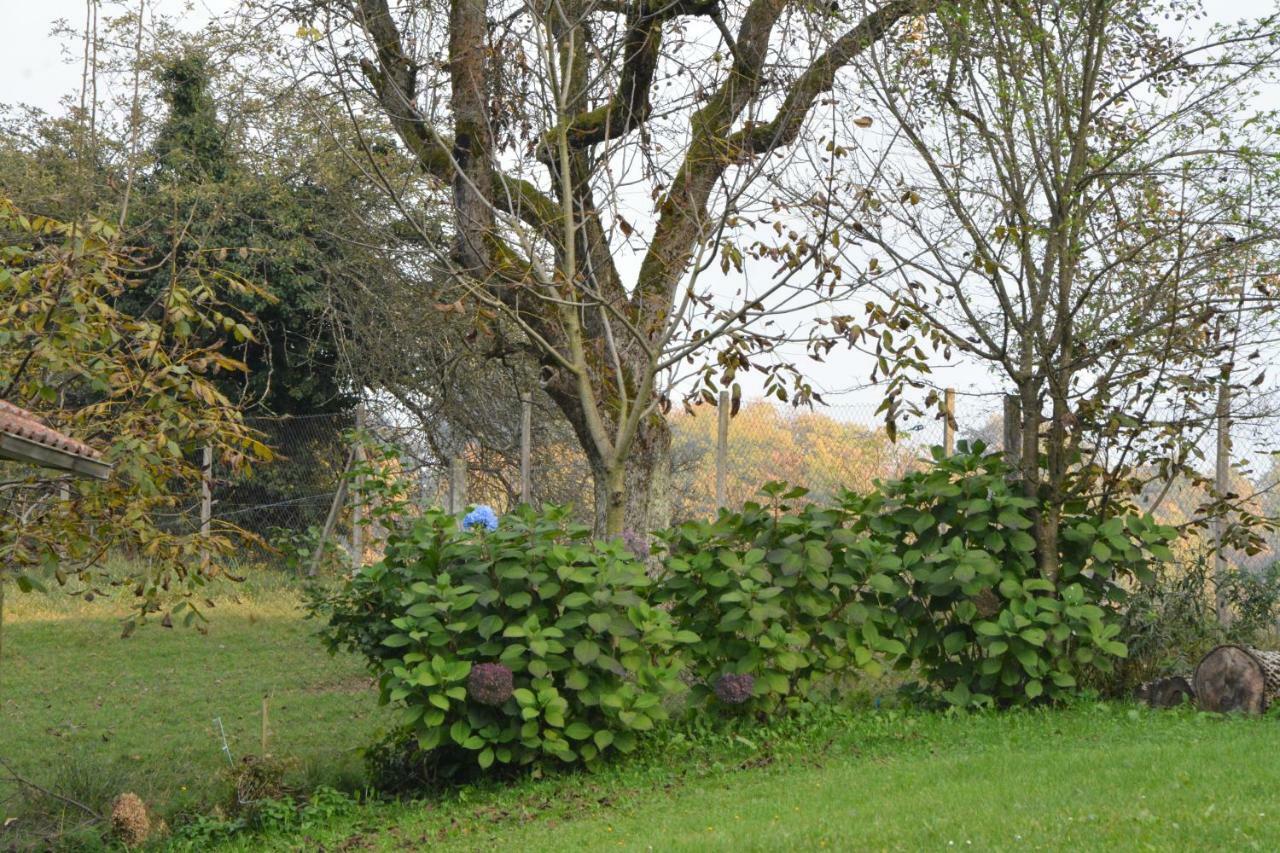 Holiday Home Neokrnjena Narava Sevnica 外观 照片